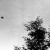 (Lac Chauvet, France)-July 18, 1952 (Lac Chauvet, France)-July 18, 1952