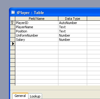 The table design we will use in our examples