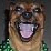dafooey profile image