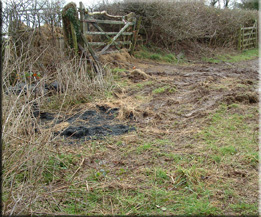 Residue from a farmer burning plastic Autumn 2007 - no longer legal thank goodness.