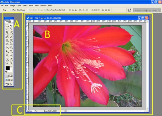 Diagram No.1 Screen shot of Opened image in Photoshop