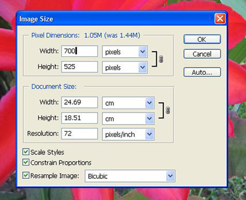 Diag no. 4 Image optimised