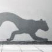 Switchtiger profile image