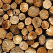 Build A Shed profile image