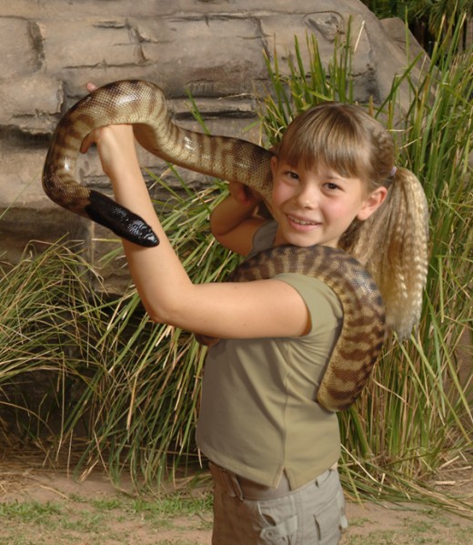 Bindi Irwin a natural just like her dad Steve the original 'crocodile man'