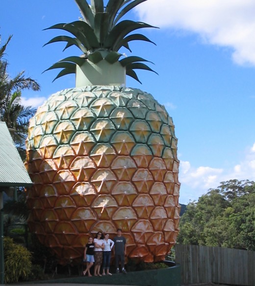 Now this is a Pineapple