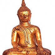 goswami profile image