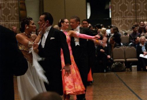 Tango Terrific Photo by: joanniesaurus