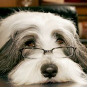 bob73 profile image