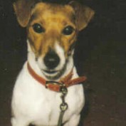 tobyrussel profile image