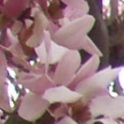kalpana_1 profile image