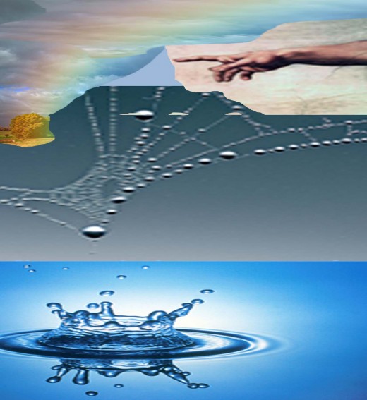 Raindrop,Web,Rainbow,
