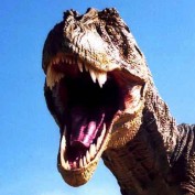 TRex916 profile image
