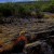 The Chihuahuan Desert provides many opportunities for good photography. Use care when hiking off trail or off road. The Chihuahuan Desert provides many opportunities for good photography. Use care when hiking off trail or off road.