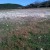 A dry area of Lake Travis