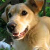 Ritch profile image