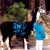 Llamas can be rented for use as pack animals when hiking in Yosemite Llamas can be rented for use as pack animals when hiking in Yosemite