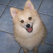 Ellen Brooks profile image