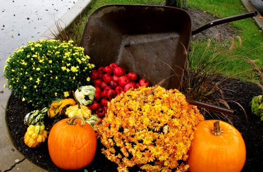 Thanksgiving ~ Christine B. (c) 2009