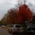 The foliage outside the cafe was beautiful in October! The foliage outside the cafe was beautiful in October!