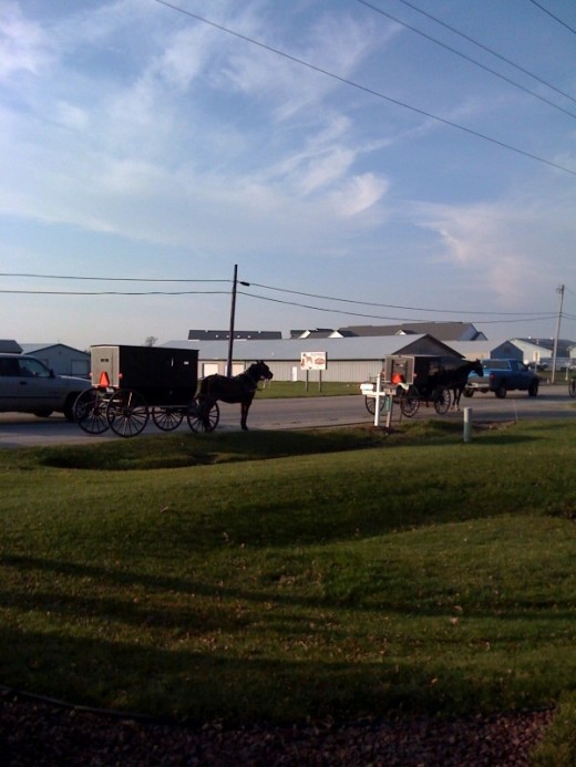 Traffic jam in the country in front of the store!