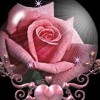 ukexhibitionstand profile image