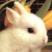charms profile image