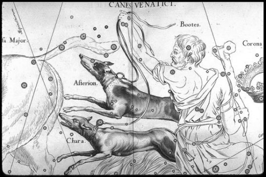 Dogs were primarily used for hunting. 