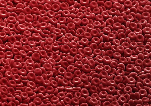 Millions of healthy red blood cells.