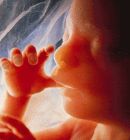 Abortions are given even through the ninth month