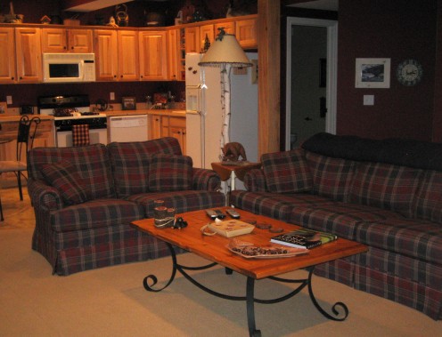 basement family room