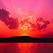 Peacefuldee profile image