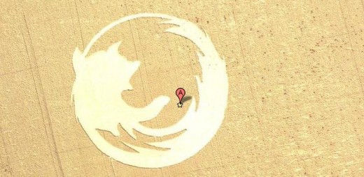Firefox logo carves by the farmers.For the publicity of Firefox.