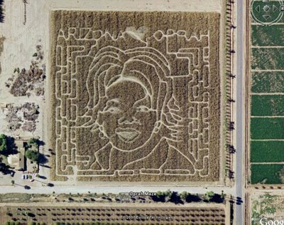 Arizona's Schnepf Farms carves a maze with the outline of a famous person into its 10-acre cornfield each year around Halloween farmers.Tribute to Oprah Winfrey.
