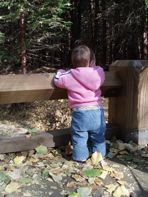 As a kid, the other side is not just greener.  It is a MUST see, no fear, no caution