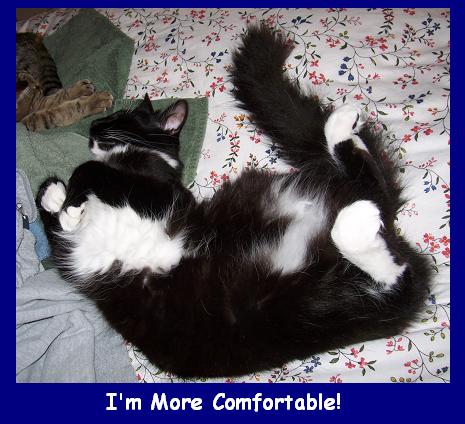 ...while Benny likes to let it all hang out.