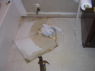 Sewer Seepage Between the Layers of Linoleum