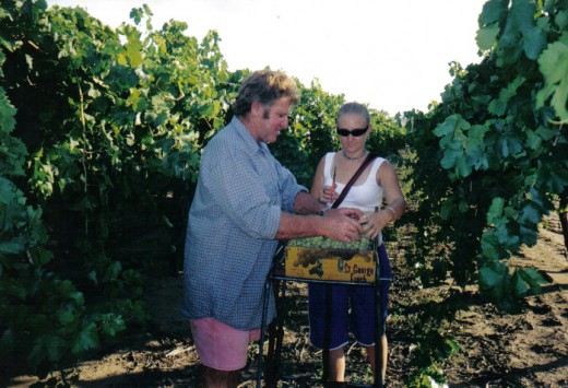 Trevor & Bonnie Packing Table Grapes