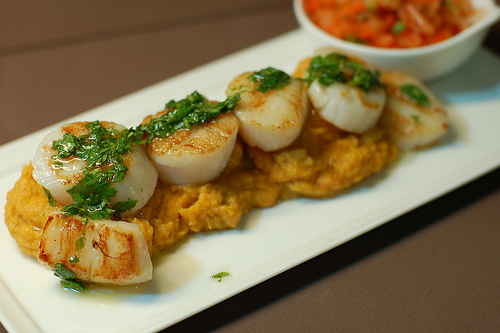 Scallops on sweet potatoes http://www.flickr.com/photos/travelingmcmahans/2963027980/