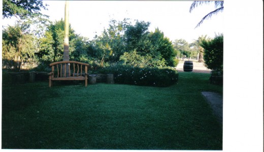 The Lawn at Riversands Vineyard