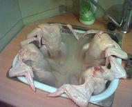 Secret #17 is: That the Original Bathing Techniques for Chickens, involves the very private use of Hot Tubs. For the purpose of this article and of course anonymity of the nude bathers; all heads and face profiles have been removed from the picture.