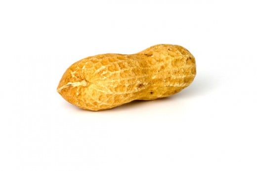 the amazing peanut