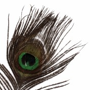 InfoHubber profile image