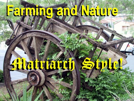 Farming Helps Replenish Our Earth