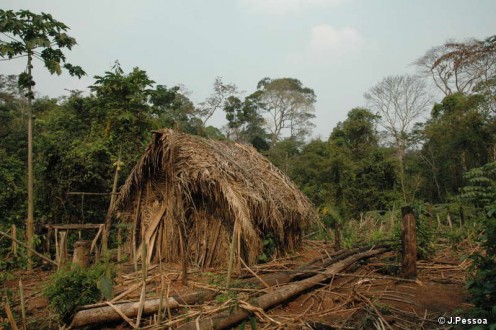 The 'Man of the Hole's' house and garden where he grows manioc and other vegetables  J.Pessoa.  Photo courtesy:  Survival