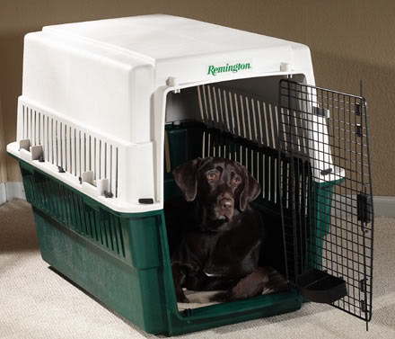 Plastic Dog Carrier or Kennel