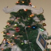 katiwise74 profile image