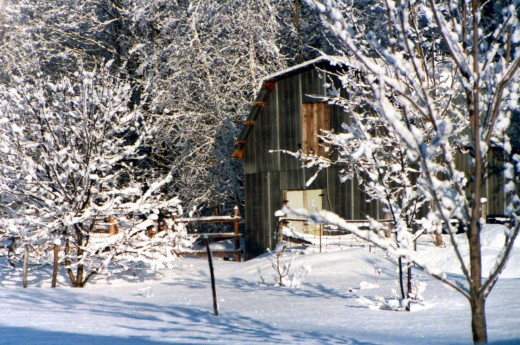 The Horse Stable in Morning Light