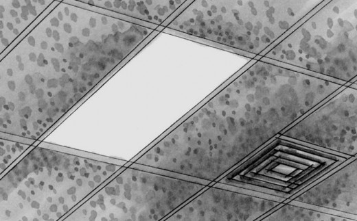 Restore that ugly ceiling. by rlz