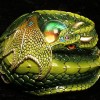 mmloda profile image